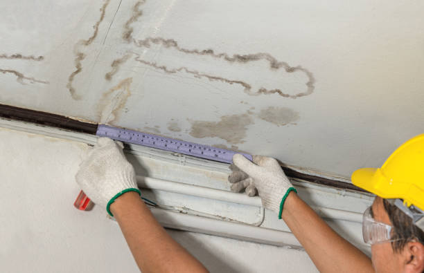Reliable Water Damage Repair contractor in Ellinger, TX by Hirex Water Damage